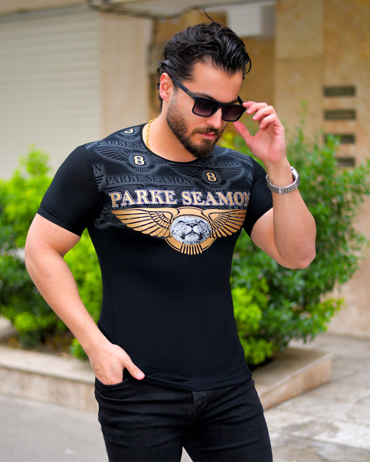 تیشرت مردانه مدل SIAMON کد 6297